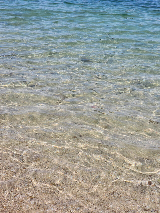 20250512☀️晴日必衝！西貢玻璃海美到窒息💦