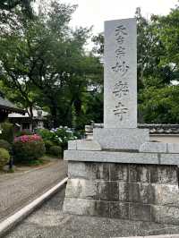 妙樂寺 | 繡球花下的悠閒時光
