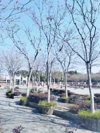 海寧觀潮勝地公園遊玩攻略