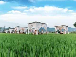 Huangmei Yuanfu Rice Field Farm Day Trip Guide