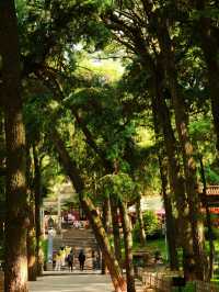 入住昆明翠湖麗瑞德酒店打卡周邊景點遊，金殿