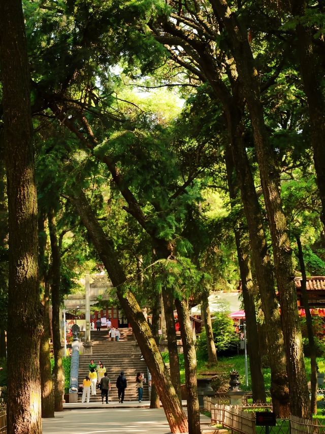 入住昆明翠湖麗瑞德酒店打卡周邊景點遊，金殿