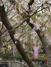 第二日：太湖風光與佛教文化-無錫三日遊