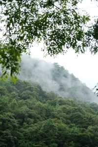 武夷山嘅美從不重複