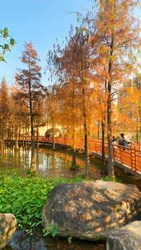 漳州龍文郊野公園：城市中的大自然