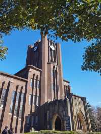 冬日校園：落光葉嘅樹同消失嘅落葉