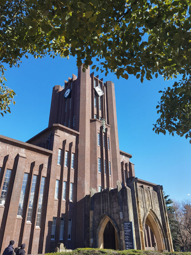 冬日校園：落光葉嘅樹同消失嘅落葉