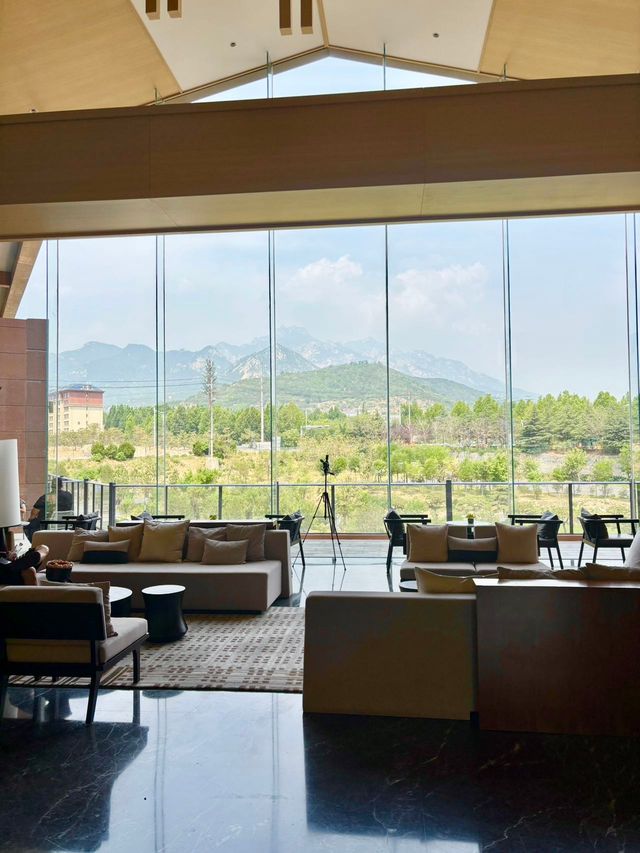 登泰山必住！新晉禪意酒店
