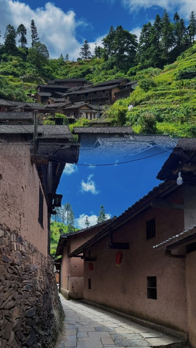 去一趟丁屋嶺，治癒咗我嘅城市焦慮症！