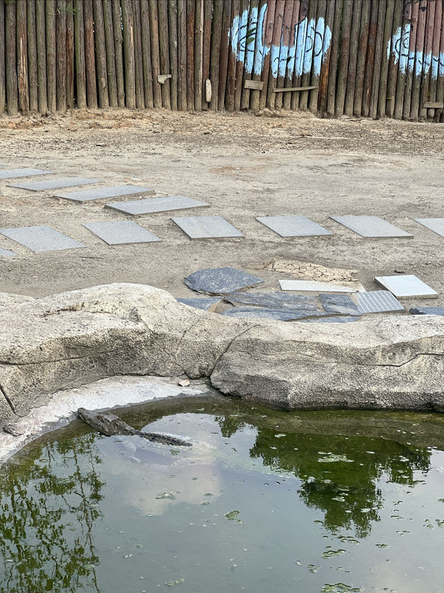 南京親子遊｜邊間酒店咁豪氣，竟然自帶萌寵樂園，仲有鱷魚