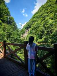 ## 逃離40℃！貴州六盤水親子避暑秘境，19℃嘅夏天太犯規啦！  熱浪灼人？冷氣房困獸？今個夏天