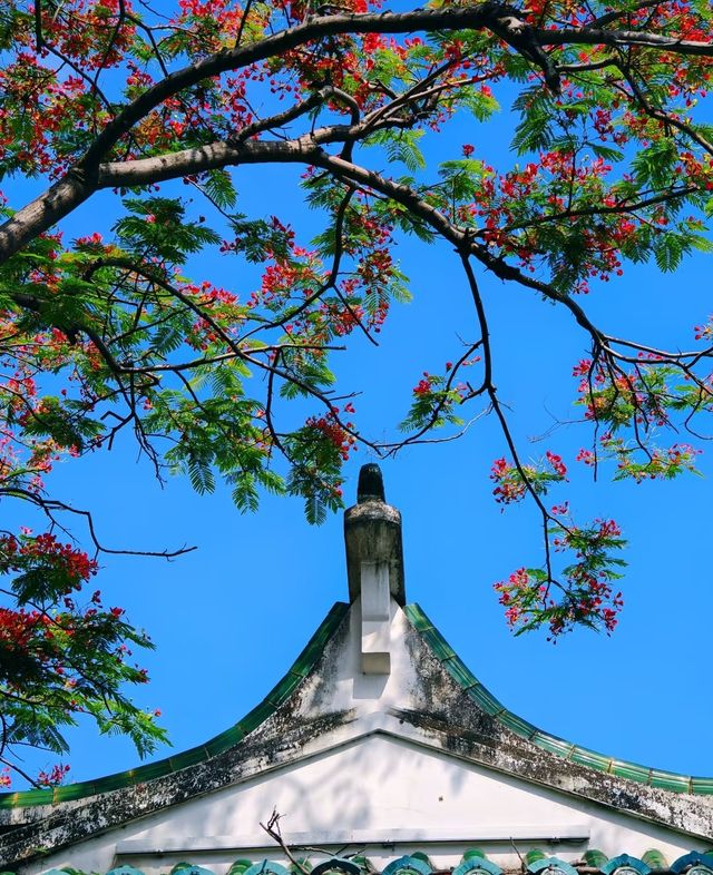 中山公園賞花奇遇！錦江之星品尚酒店畀你超暖心體驗！