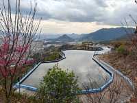 溫州/泰順桃源里休閒觀光園景區