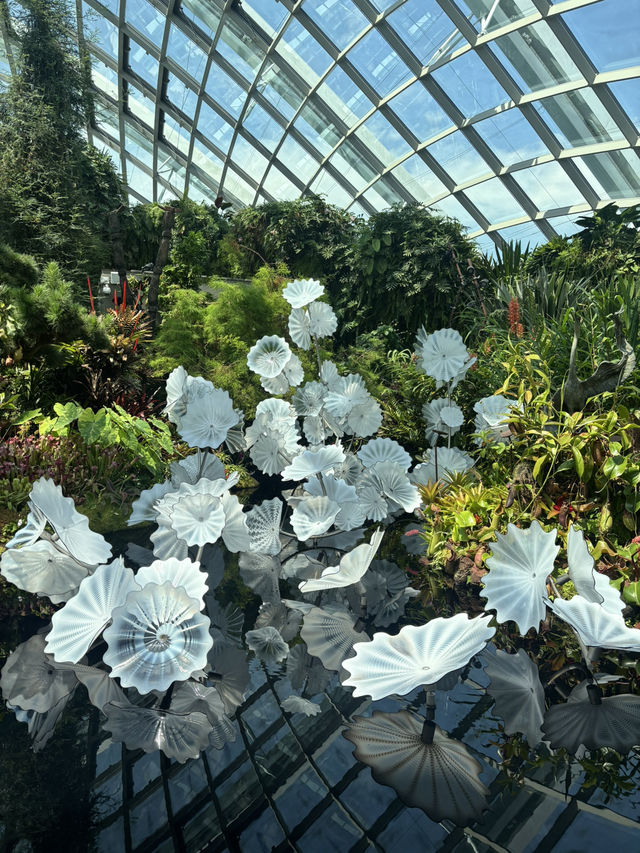 Gardens by the Bay - Singapore