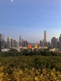 Drone Delivery In The Park, Experience The Future In Shenzhen. It’s Amazing 