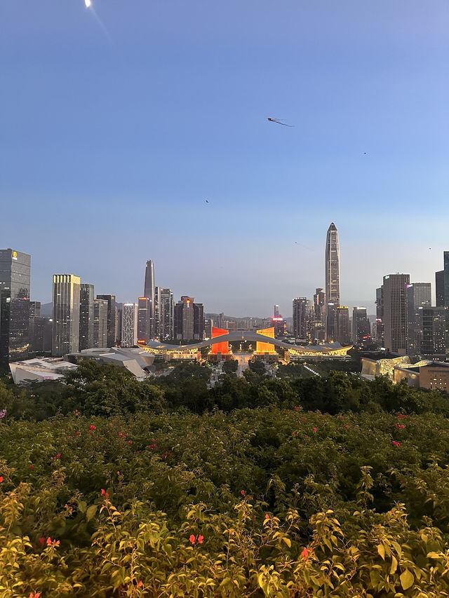 Drone Delivery In The Park, Experience The Future In Shenzhen. It’s Amazing 