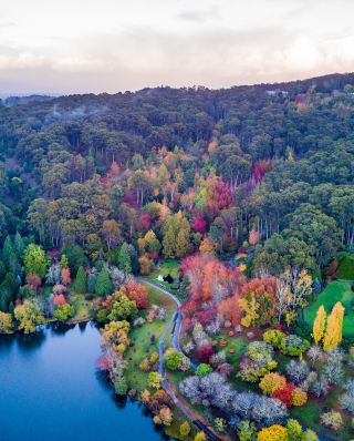 Decode nature and embark on an immersive healing journey