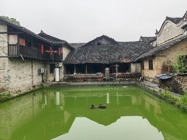 湖南岳陽張古英村王家塅