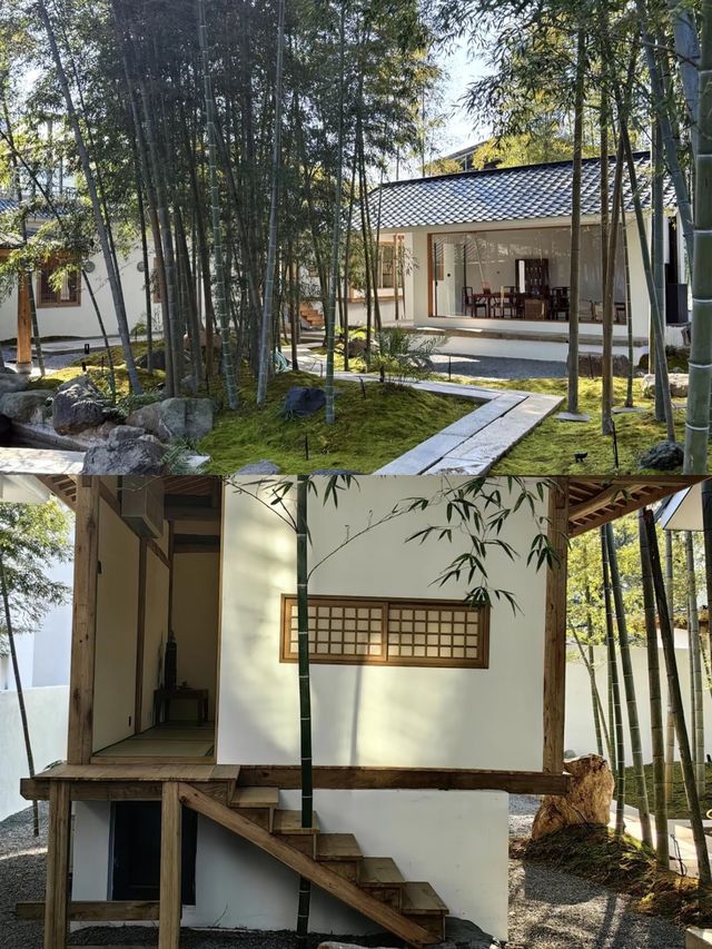福建武夷山！住進茶山小院！