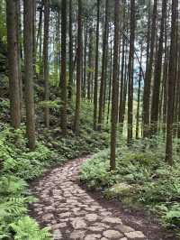 舊中山道｜馬籠宿-妻籠宿-南木曾（附攻略）
