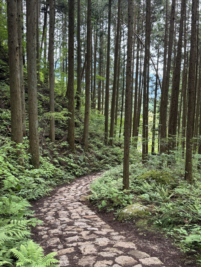舊中山道｜馬籠宿-妻籠宿-南木曾（附攻略）