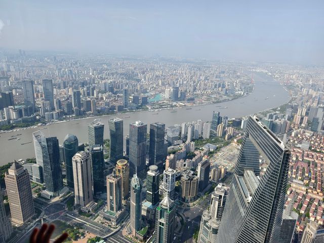 上海之巔打卡指南