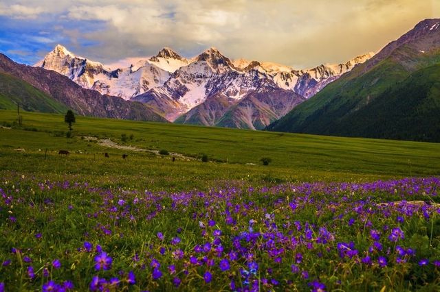 夏塔旅遊攻略 | 赴一場雪山之約