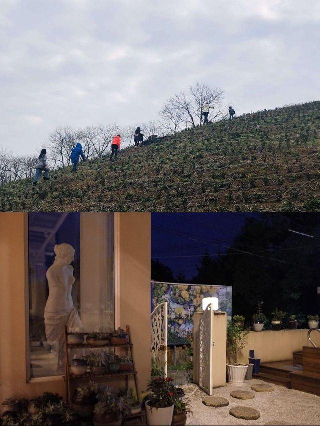 莫干山親子樂，住進星空泳池夢