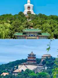 北京已返，我只想講真話