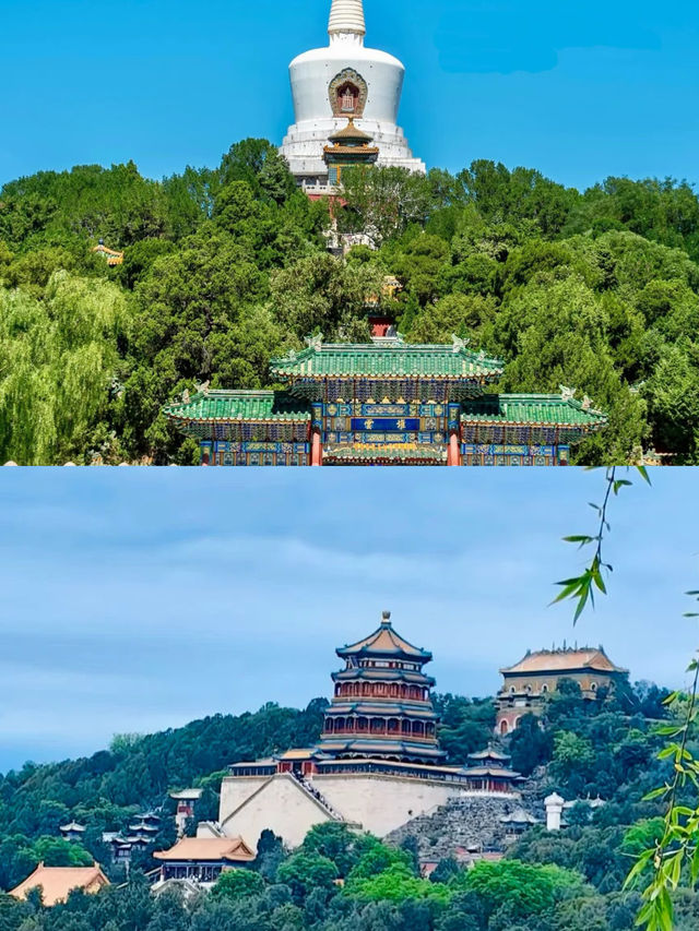 北京已返，我只想講真話