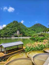 柳州龍潭公園影相避坑指南！避開人潮影出ins風大片