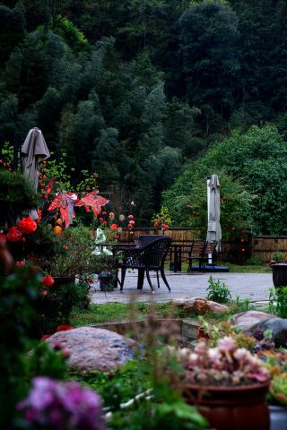 Encountering Wangyou Valley Yuanyi Homestay: Embracing a Poetic Life Amidst the Mountains