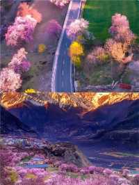 《別處是人海，林芝是桃源》