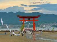 最靚嘅鳥居同嚴島神社管弦祭神儀式