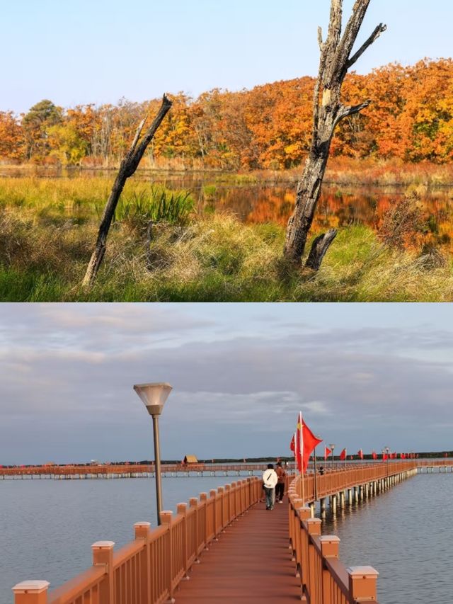 興凱湖濕地公園旅遊攻略