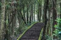 寧國惠雲禪寺：青龍灣一方淨土，環境太仙了！