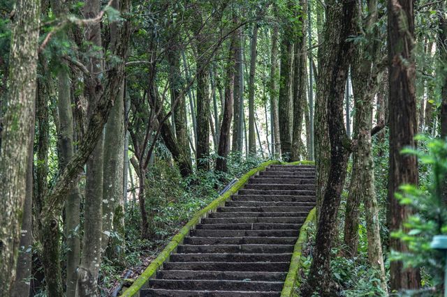 寧國惠雲禪寺：青龍灣一方淨土，環境太仙了！
