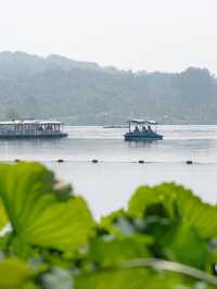 畢節金海湖公園：探秘貴州生態濕地，開啟心靈度假之旅