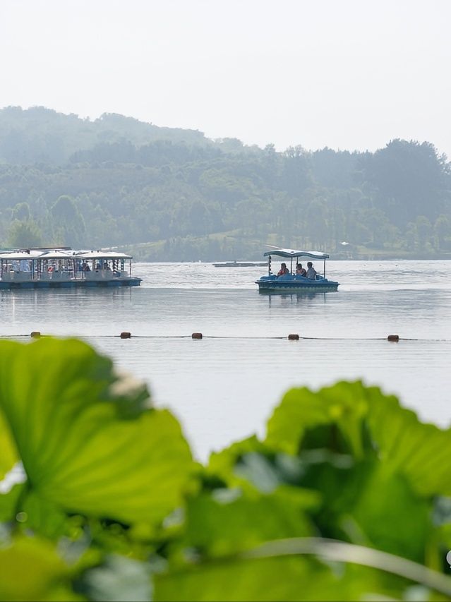 畢節金海湖公園：探秘貴州生態濕地，開啟心靈度假之旅