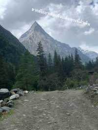 Siguniangshan - changpinggou In June