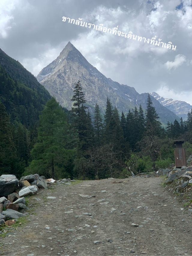 Siguniangshan - changpinggou In June