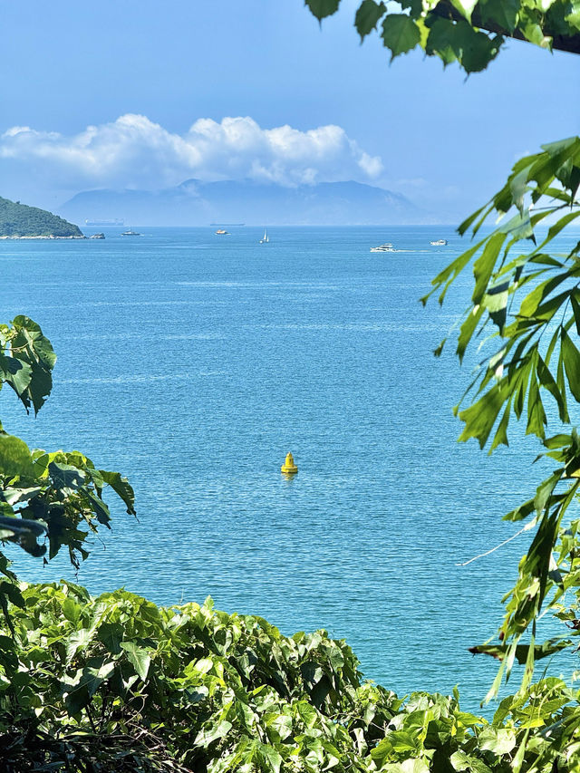 港島最美海岸線行山1.5小時新手友善路線！衝呀！