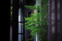 姐姐當家綜藝同款!帶娃躺平太香了