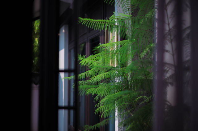 姐姐當家綜藝同款!帶娃躺平太香了 姐姐當家綜藝同款!帶娃躺平太香了