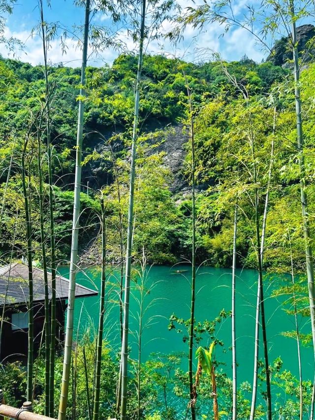 山水間的治癒時光