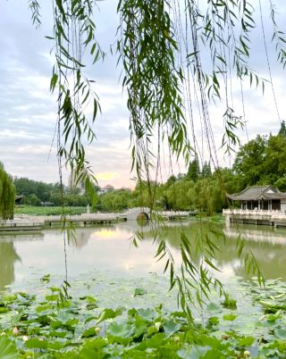 Yangzhou's Hidden "Lotus Sea Secret Realm"! Come here in midsummer, even your breath will be wrapped in floral fragrance, and every photo will be a masterpiece📸