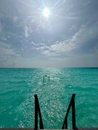 Our Beloved Second Home: Constance Moofushi