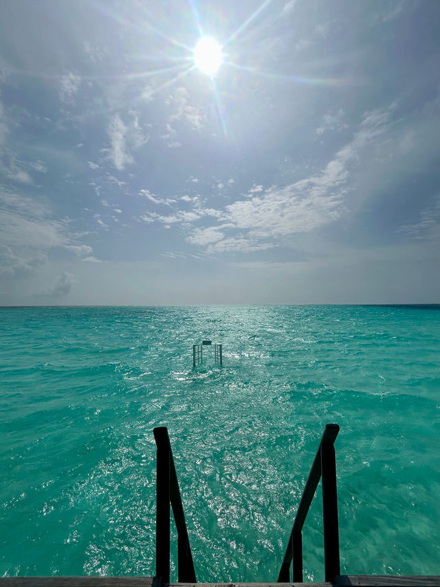 Our Beloved Second Home: Constance Moofushi