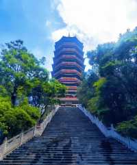 曲靖秋韻:山水為骨,楓葉為魂,共赴一場金色與緋紅的詩篇