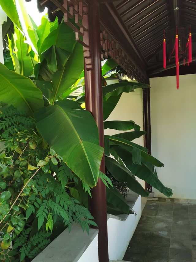 【江蘇省徐州市】園博園自駕遊。